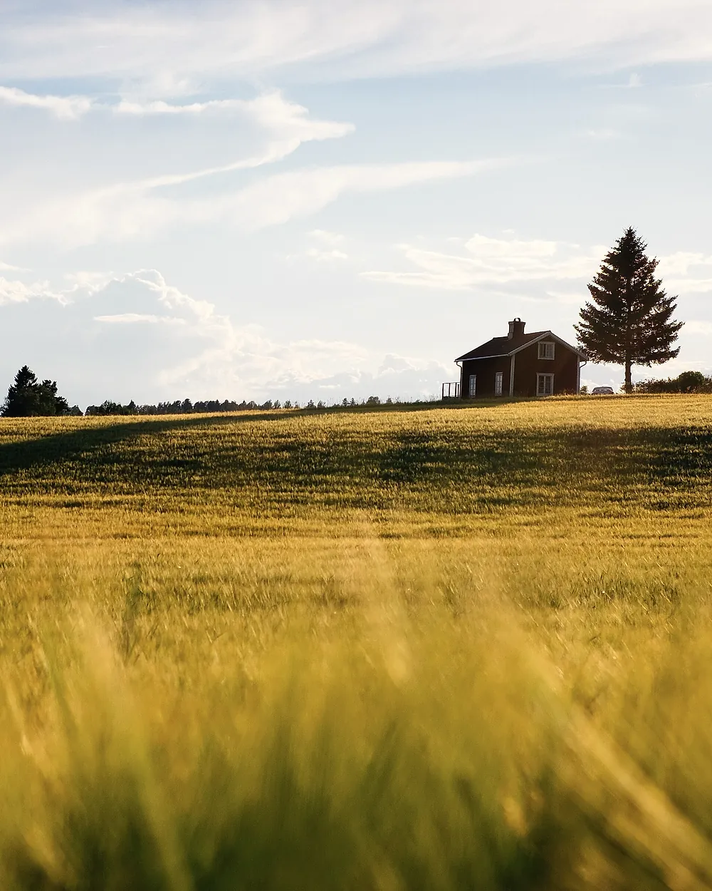 Teren agricol deschis până la orizont